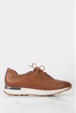 Tenis